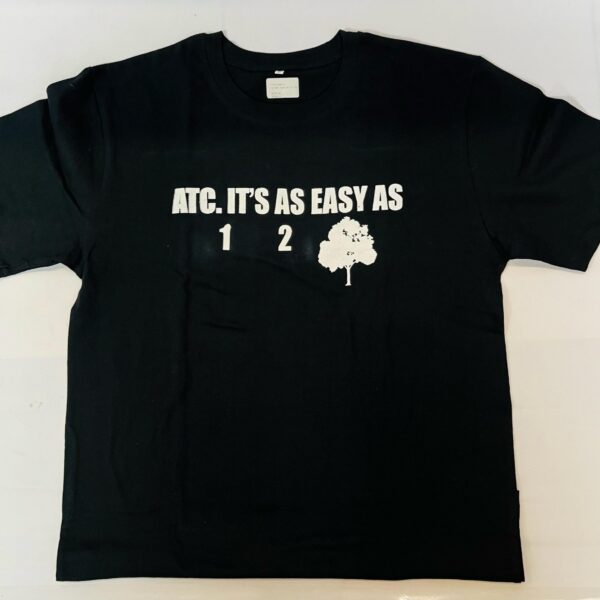 T Shirt   Easy As 123 (L)